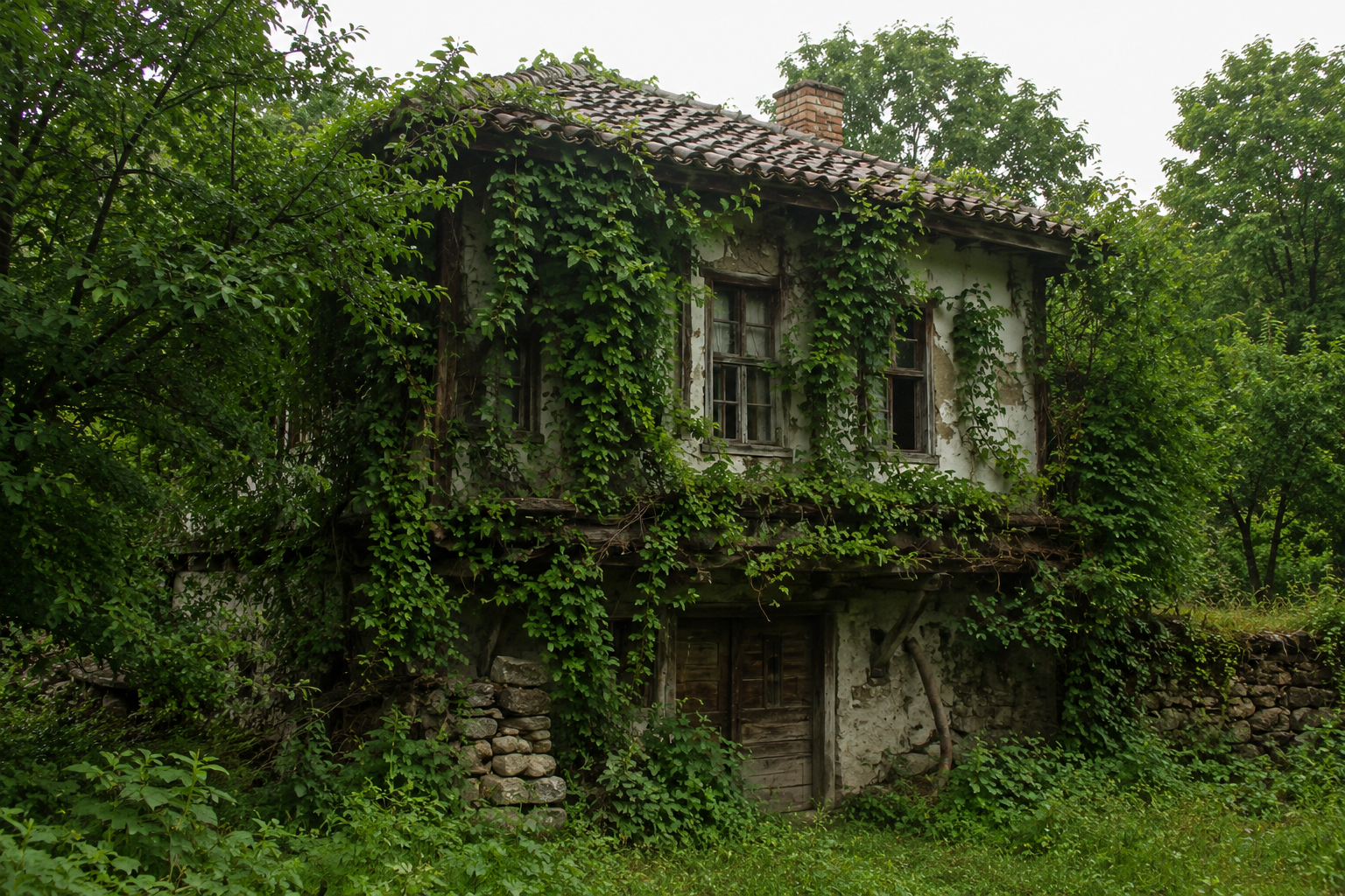 old house , taken by the nature but still standing